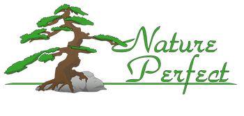Nature Perfect Landscape and Design