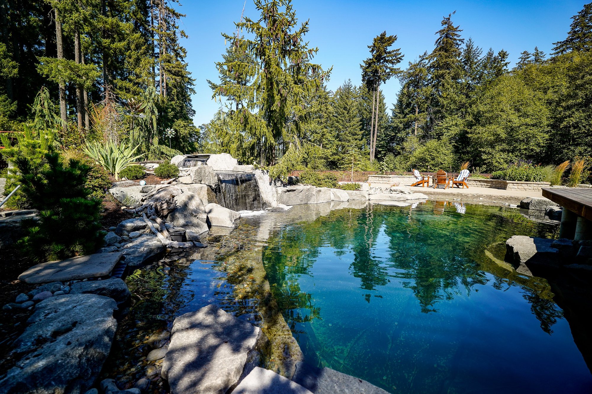 Natural pool retreat surrounded by stone and evergreen planting